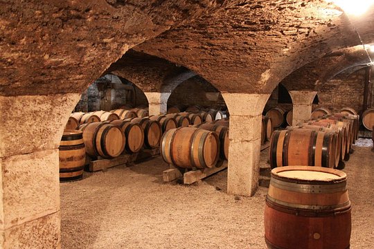 Paris to Reims: Wine Tasting Experience — صورة 3