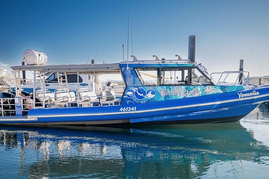 Outer Reef Scuba Diving Day Tour from Agnes Water 1770 — photograph 2