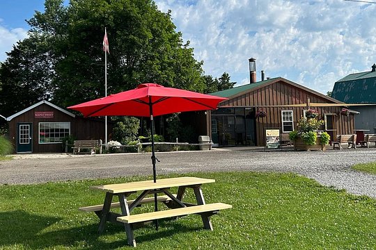 Discover Maple Sugar Bush Tour — foto 4