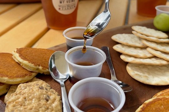 Discover Maple Sugar Bush Tour — foto 5