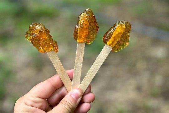 Discover Maple Sugar Bush Tour — foto 3