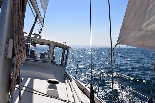 Private Sailing Charter in Porto — photograph 2