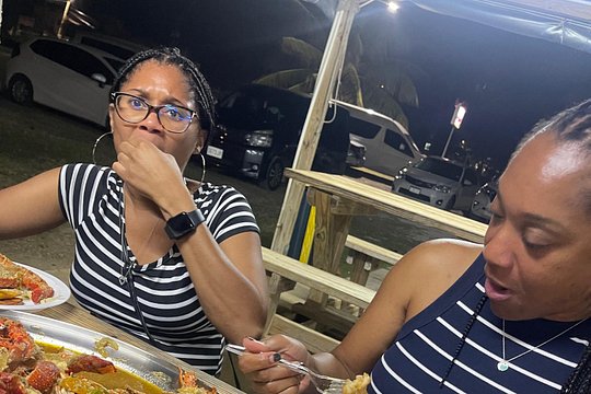Montego Bay Excursion Tours with Round Trips and Pick Ups — billede 3