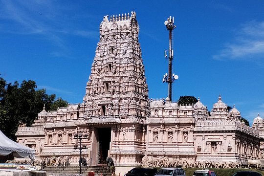 Fireflies & Silver Leaf monkey Tour With Free Batu Caves Temple — billede 5