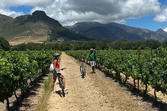 Half Day MTB Cycling Wine Tour — photograph 4