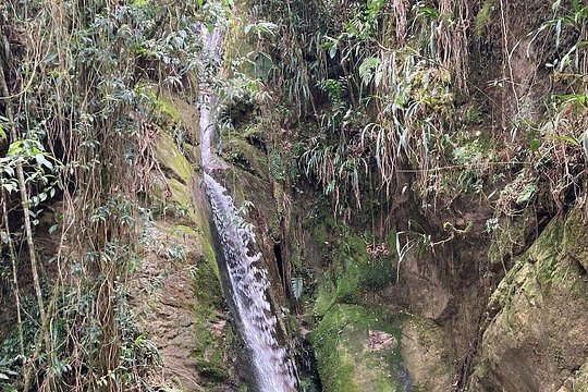 Hiking Mountains and Magical Forests — photograph 3