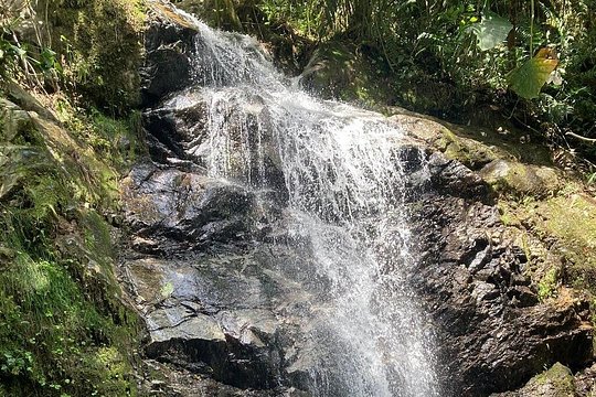 Hiking Mountains and Magical Forests — photograph 4