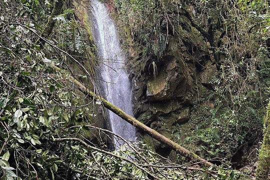 Hiking Mountains and Magical Forests — photograph 5