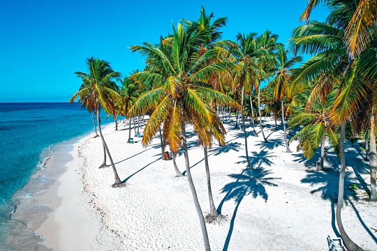 Eco Saona Island Excursion from Punta Cana — photograph 2