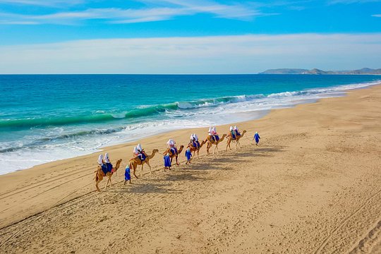 Cabo 2-Seater Off-Road UTV and Camel Ride with Lunch and Tequila — photograph 5