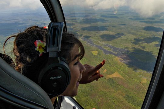 Hilo Waterfalls Experience Helicopter Tour — photograph 3