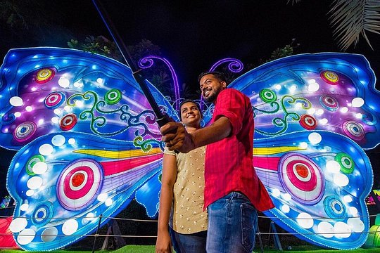 Dubai Garden Glow Entry Ticket — photograph 5