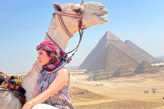 All Giza activists — billede 2