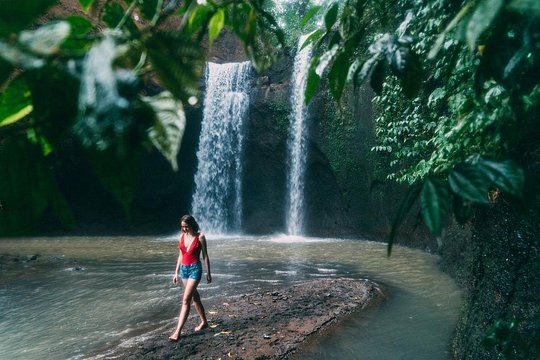 All-Inclusive Ubud Sight Private Tours — foto 2
