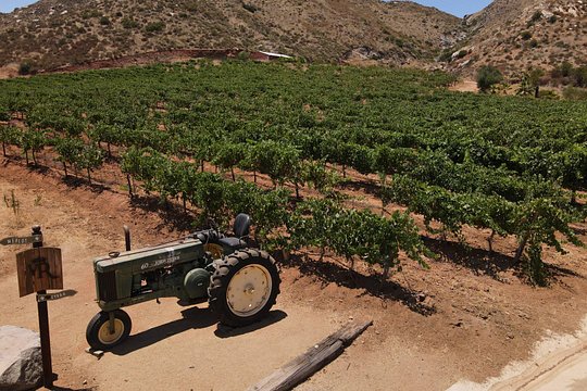 Customizable Guadalupe Wine Valley Tour — photograph 2