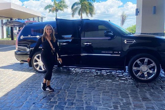 Private Punta Cana Airport Service — photograph 2