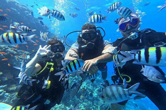 Hurghada Diving Adventure one Day with two Dives Boat Trip — foto 2