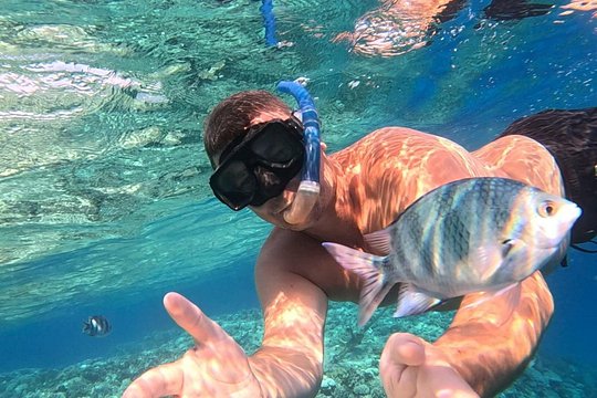 Hurghada Diving Adventure one Day with two Dives Boat Trip — foto 3