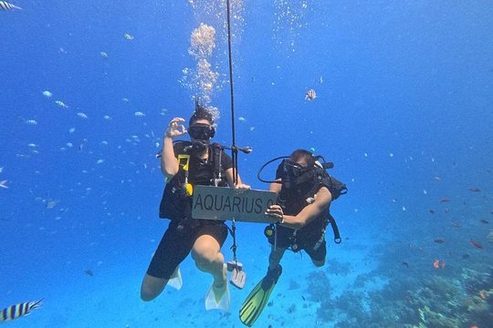 Hurghada Diving Adventure one Day with two Dives Boat Trip — foto 5