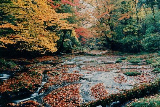 Walking with a guide through the Kikuchi Valley — foto 2