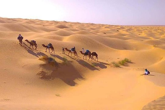 2 Days in the Desert on Camel Back — foto 5