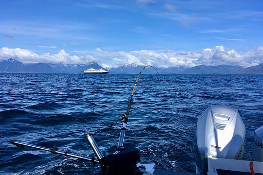 Sitka Eco-Friendly 5-hour Catch & Release Private Fishing Charter — foto 5