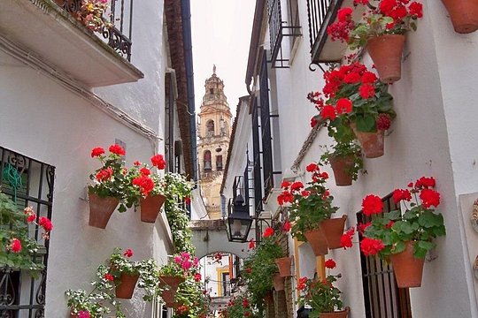 Cordoba Private Walking Tour — photograph 2
