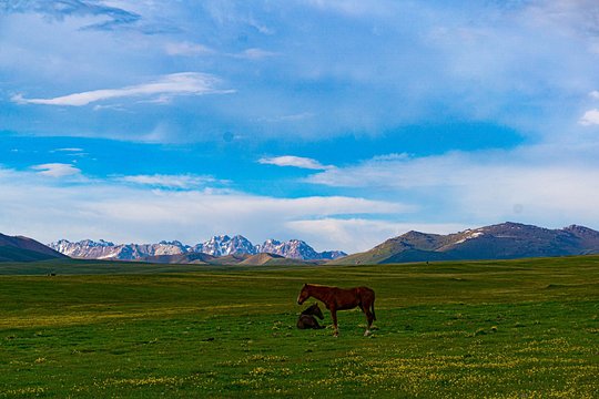 Son Kul Two Day Immersion into Nomadic Culture — photograph 5