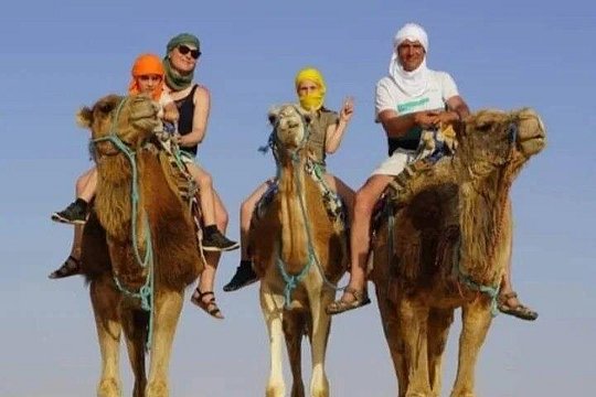 Private Camel Ride in Douz — photograph 2