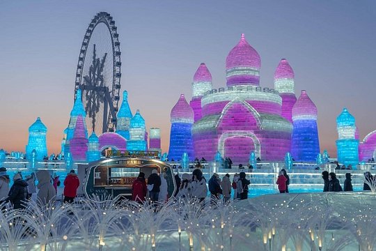 1-Day Harbin Private Tour — photograph 3