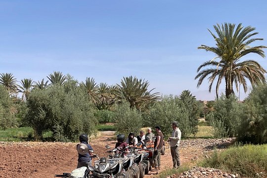Guided Quad Tour Through the Desert — billede 2