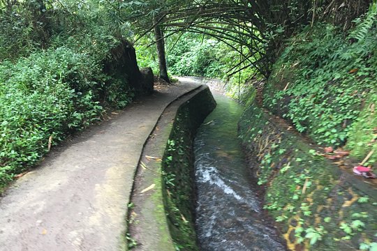 Yin & Yang Private Waterfalls Tour — photograph 2