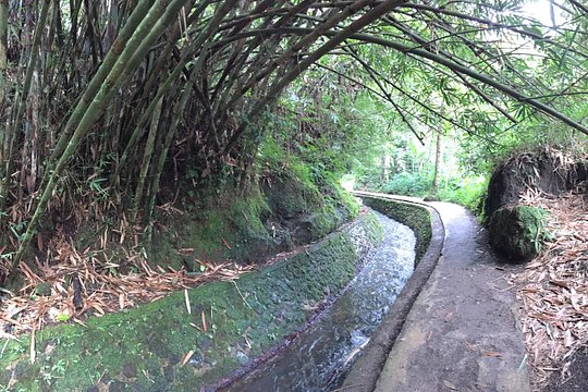 Yin & Yang Private Waterfalls Tour — photograph 3