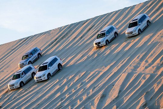 4 hours Desert Safari Experience in Doha up to Group of 5 — photograph 2