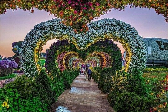 Dubai Miracle garden with optional transport — photograph 2