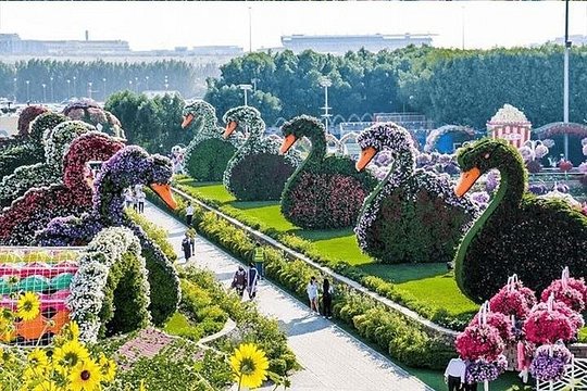 Dubai Miracle garden with optional transport — photograph 3