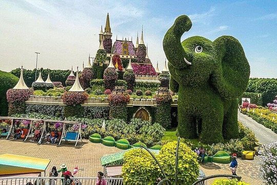 Dubai Miracle garden with optional transport — photograph 4
