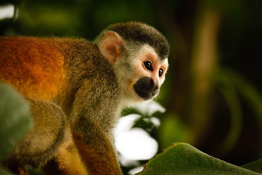 8-day tour through the mountains and Amazon of Ecuador — photograph 4