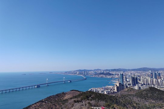 Private Dalian Night Tour — photograph 2