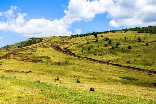 Ngong Hills Private Guided Hike — photograph 3