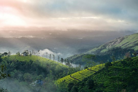 Blissful Kerala — صورة 2