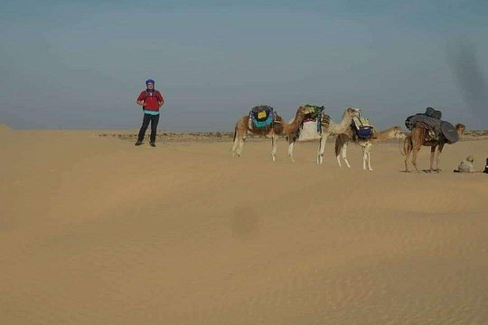 Private Camel Ride in Douz — photograph 4