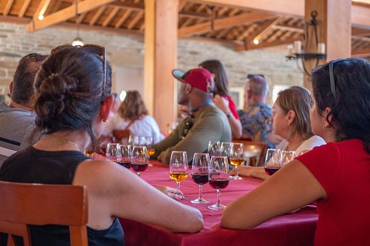 Complete Douro Valley Wine Tour with Lunch, Wine Tastings and River Cruise — photograph 3
