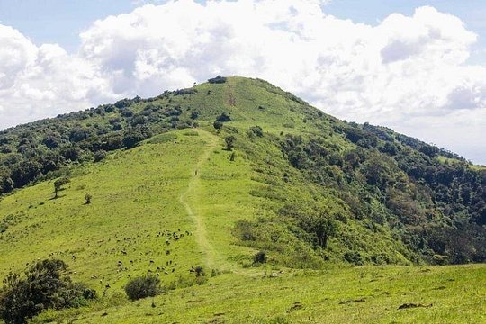 Ngong Hills Private Guided Hike — photograph 5