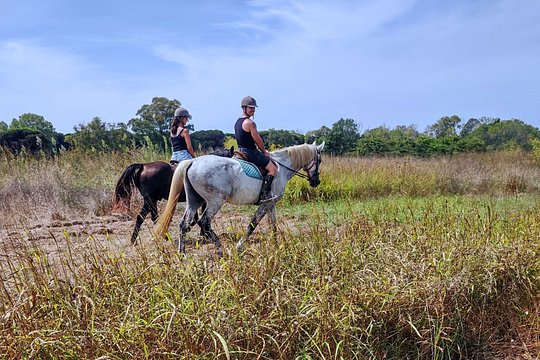 Horse Sanctuary & Trail Ride — photograph 3