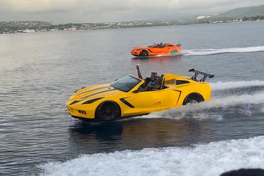Montego Bay: Private Jet Car Experience with Optional Transfers — billede 3