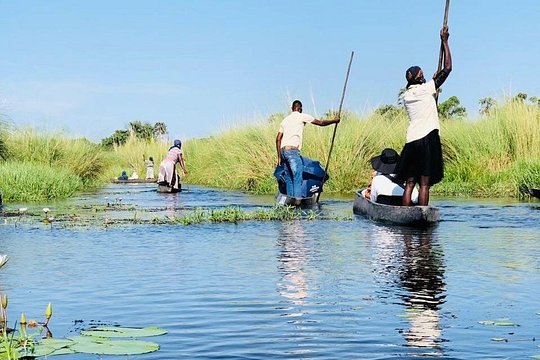 Overnight Mokoro Experience in the Okavango Delta — photograph 5