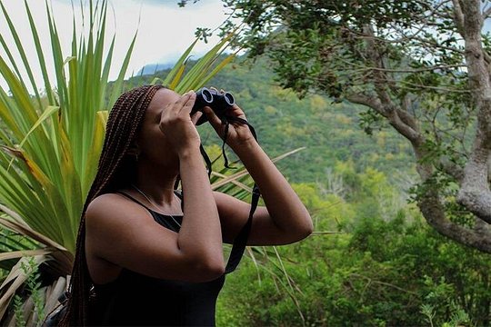 Nature Exploration at Ebony Forest — 사진 2