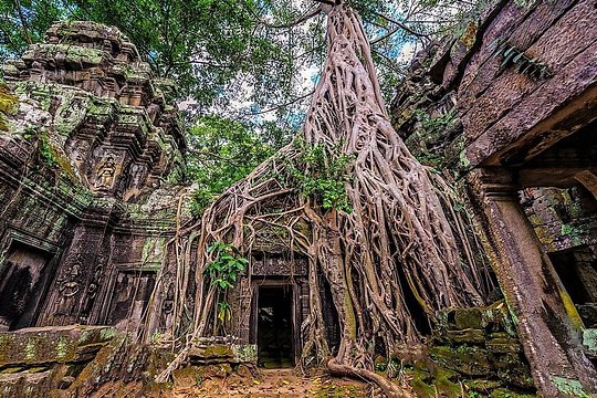 Explore Angkor Sunrise Spectacle a Full Day Temples Tour — photograph 5