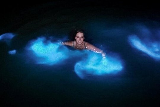 Magical Luminous Lagoon — photograph 3